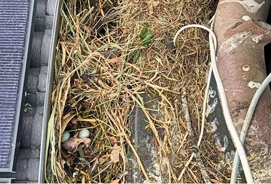 evaporative-before